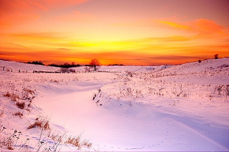 Silent winter - sky, sun, image, winter, sunset, gold, nature, white, snow, beautiful, clouds, silence