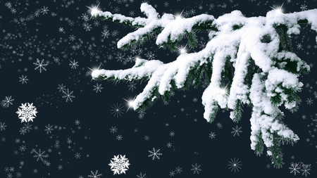 Snowy Tree Limb - winter, snowflakes, snow, fir, christmas, spruce, cold, frost, sky