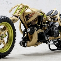 Cactus Bike