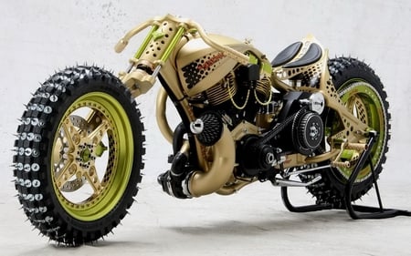 Cactus Bike - harley, chopper, bikes, harley davidson