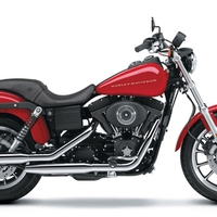 Harley D