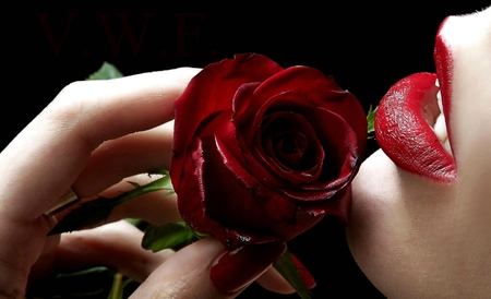 rose - nice, woman, pics, cool, red, rose