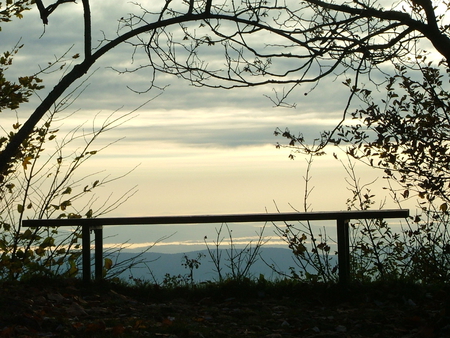 Mountain view bench - branches, cloud, bench, morning, mountain