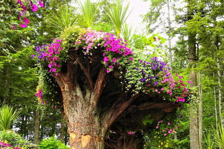 UPSIDE DOWN TREE STUMP - tree, flowers, pretty, stump