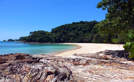 all alone - ocean, trees, blue, island, water, sand, rocks