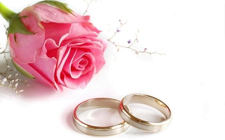 With this ring - pretty, blooms, blossoms, delicate, buds, bud, lovely, flowers, nature, soft, plants, ring