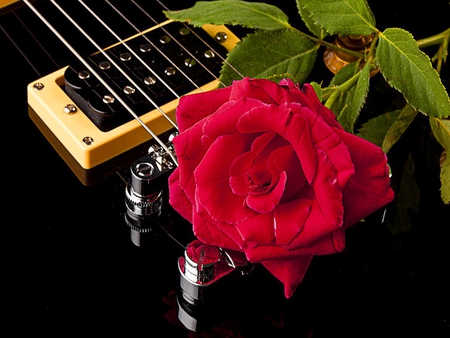 A gift for the musician - musician, guitar, gift, red, music, rose, flower, soul