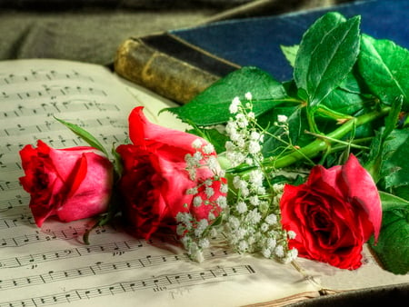 Music roses - nice, roses, gift, music, notes, lovely, book, three, pretty, red, flowers