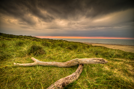 landscape - beach, sky, landscape, water, sunset, lovely, gras, nature, beautiful, clouds, scenery, sunrise