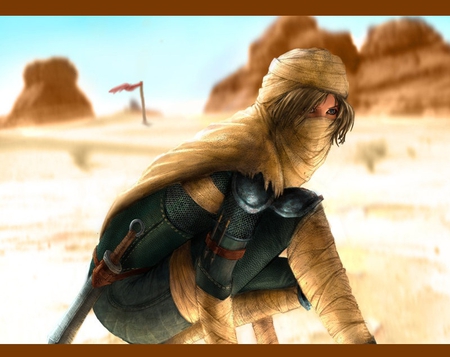 Searching - game, desert, girl, search, zelda, sheik