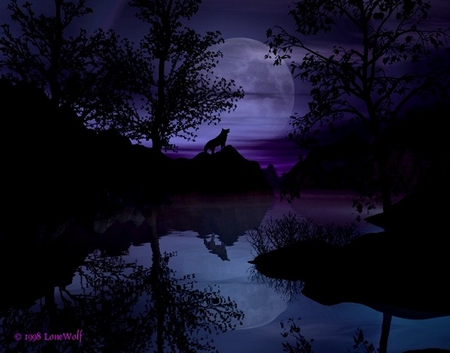 SPIRIT OF THE NIGHT - moon, night, spirit, purple