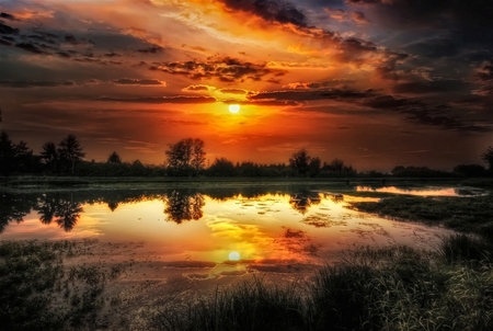 Reflection Lit - nice, sky, sun, water, lit, reflections, lakes, amazing, cool, clouds, sunsets, rivers, landscapes, islands, waterscape, plants, nature, creeks, mirror, awesome, sunrise