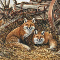 2 Red Foxes F2