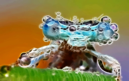 Looker - fractalius, pretty, insects, dragon fly