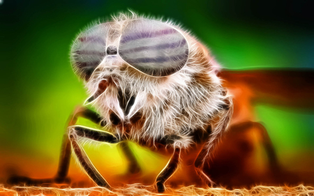 Sting - sting, fractalius, insects, bees, fly