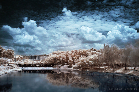 Winter Scenery - clouds, lakeside, trees, sky