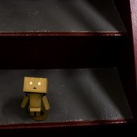 Danbo