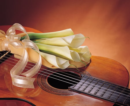 Romance - nice, beauty, guitar, photography, delicate, music, bouquet, still life, pretty, cool, romance, calla, ribbon, harmony, love, strings, calla lily, lovely, i love you, romantic, beautiful, flowers, photo, flower, elegantly