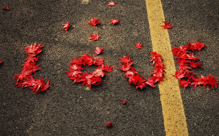 LOVE... - pretty, romantic, amazing, great, romance, photo, leaves, red, nice, beautiful, photography, road, beauty, colors, lovely, cool, love, season, time, autumn