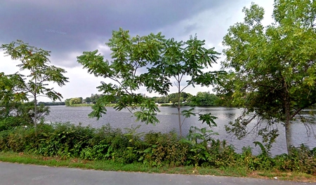 Charles River - river, trees, water, blue, green, massachusetts, sky