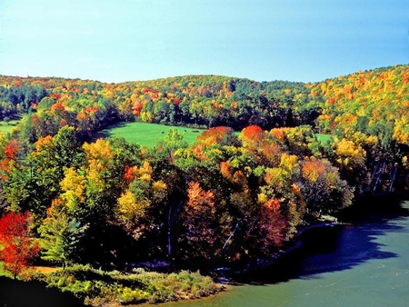 Autumn Day - sky, trees, colors, autumn