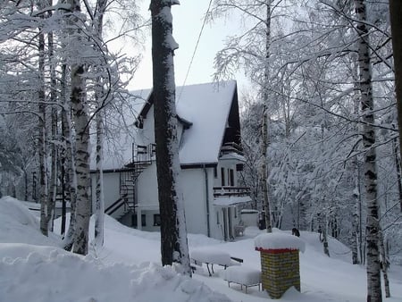 A Quiet Place to Live - house, snow, trees, winter