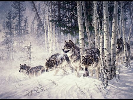 Larry Fanning * A shift in the wind - animal, winter, larry fanning, wolf, painting, snow, art, wildlife