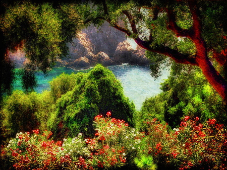 View from the terrace - flowers, river, nature, view, terrace, rocks