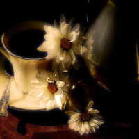 Coffee and daisies