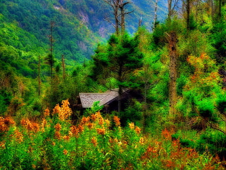 Hidden among the trees - house, trees, among, beautiful, peaks, mountain, flowers, nature, view, green, hidden