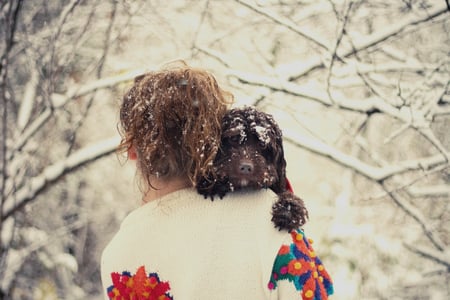 My Little Friend - winter, snowflakes, photography, girl, snow, dog, friend