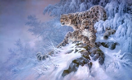 Larry Fanning - painting, art, snow, animalm tiger, larry fanning, winter