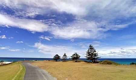 Tasman Sea - clouds, trees, water, blue, sea, grass, ocean, australia, sky