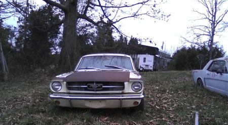 My 1965 Ford Mustang - ford, 1965, mustang, pony