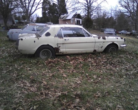 My 1965 Ford Mustang 2 - ford, 1965, mustang, pony