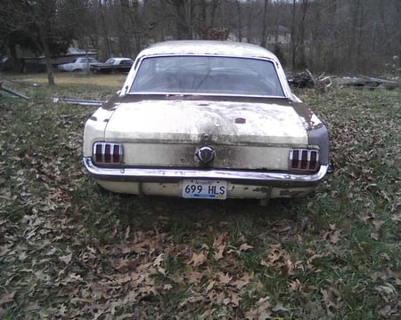 My 1965 Ford Mustang 3 - pony, ford, mustang, 1965