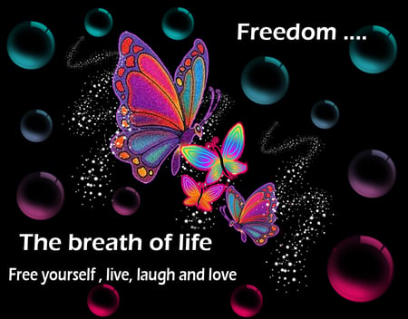 Freedom - moments, butterflies, freedom, sparkles, colors, live, love, life, laugh, memories, breaths, bubbles