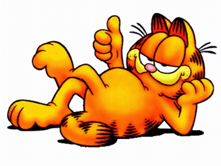 GARFIELD - cat, kitty, cartoon, garfield