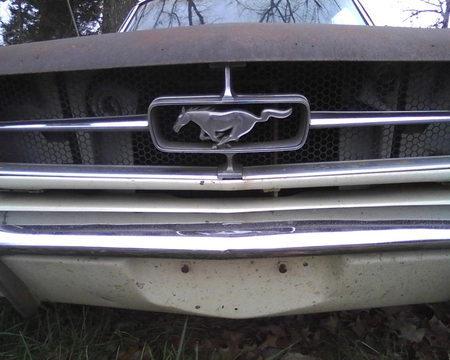 1965 Ford Mustang Pony - pony, ford, mustang, 1965