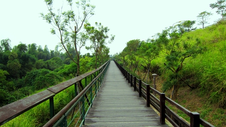 Native Botanical Garden - railing, grass, trails, tree