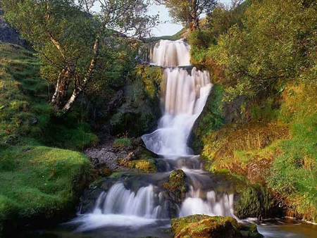 Cascade waterfall - trees, nature, waterfall, cascade