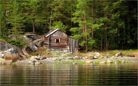 Forest hut - still, nature, hut, lake, forest, green