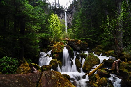 Watson_Falls - nature, falls, forest, trees, waterfalls