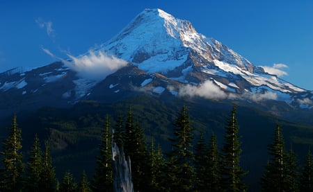 mount_hood - winter, trees, nature, mountain