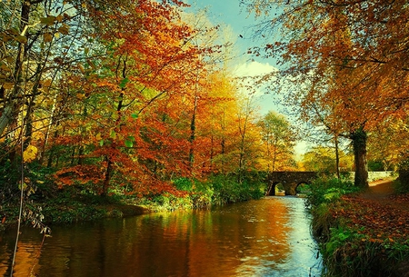 River in autumn colors - sky, trees, day, dry, water, nature, fall, yellow, reflection, blue, river, leaves, green, vegetation, colors, sunny