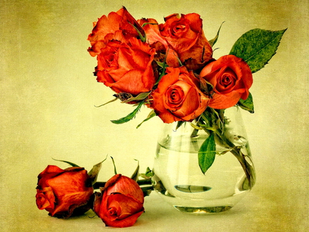 Bouquet of fresh red roses - nice, fresh, roses, delicate, bouquet, lovely, vase, nature, pretty, red, flowers, harmony