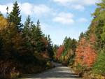 Autumn Road