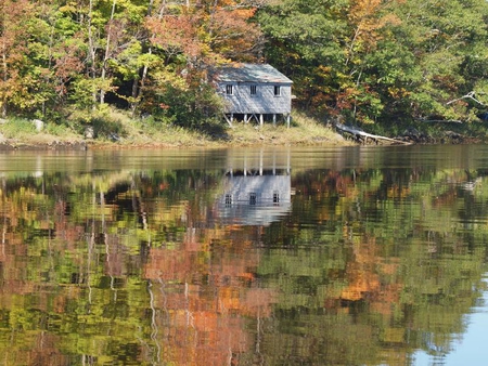 A Tiny House by the Lake - lake, house, trees, water