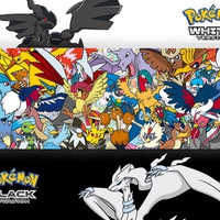 Pokemon(Birds)