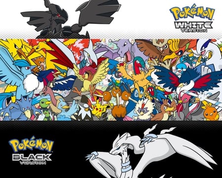 Pokemon(Birds)